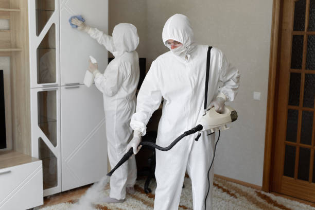 24/7 Emergency Odor Removal experts in McDade, TX