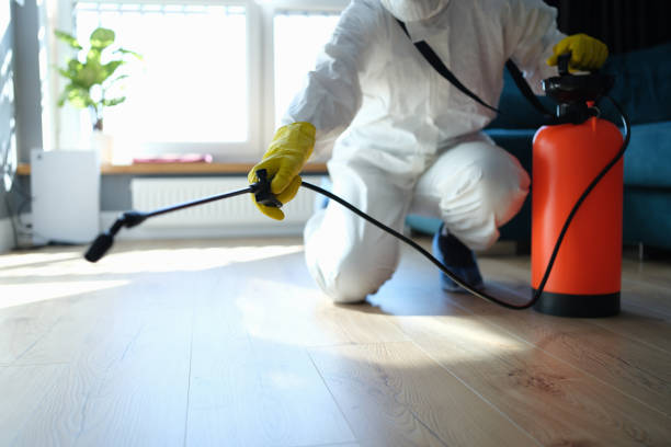 Reliable Odor Removal contractor in McDade, TX by Trauma Clean Pros
